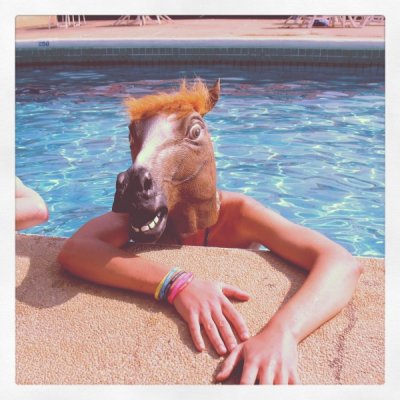 лошадь в бассейне