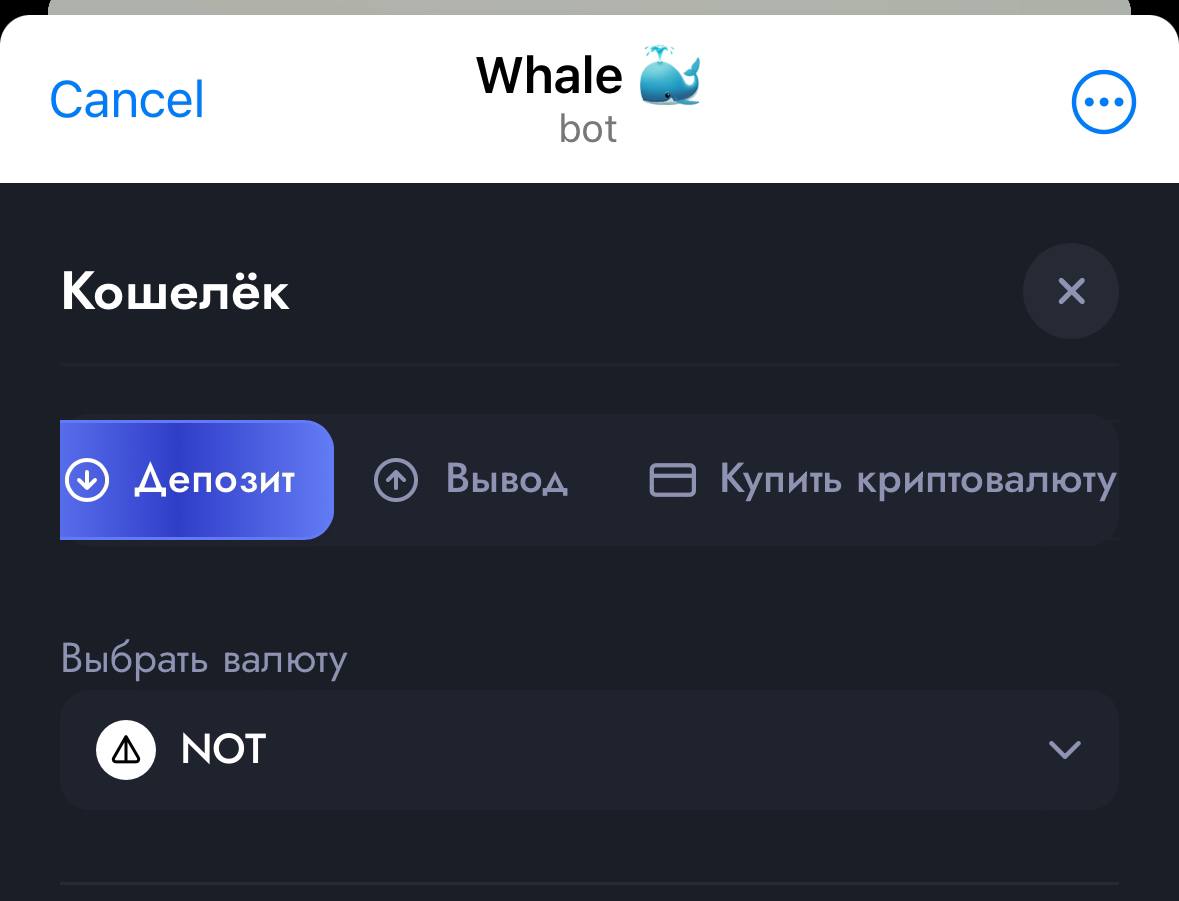 нот в вхале